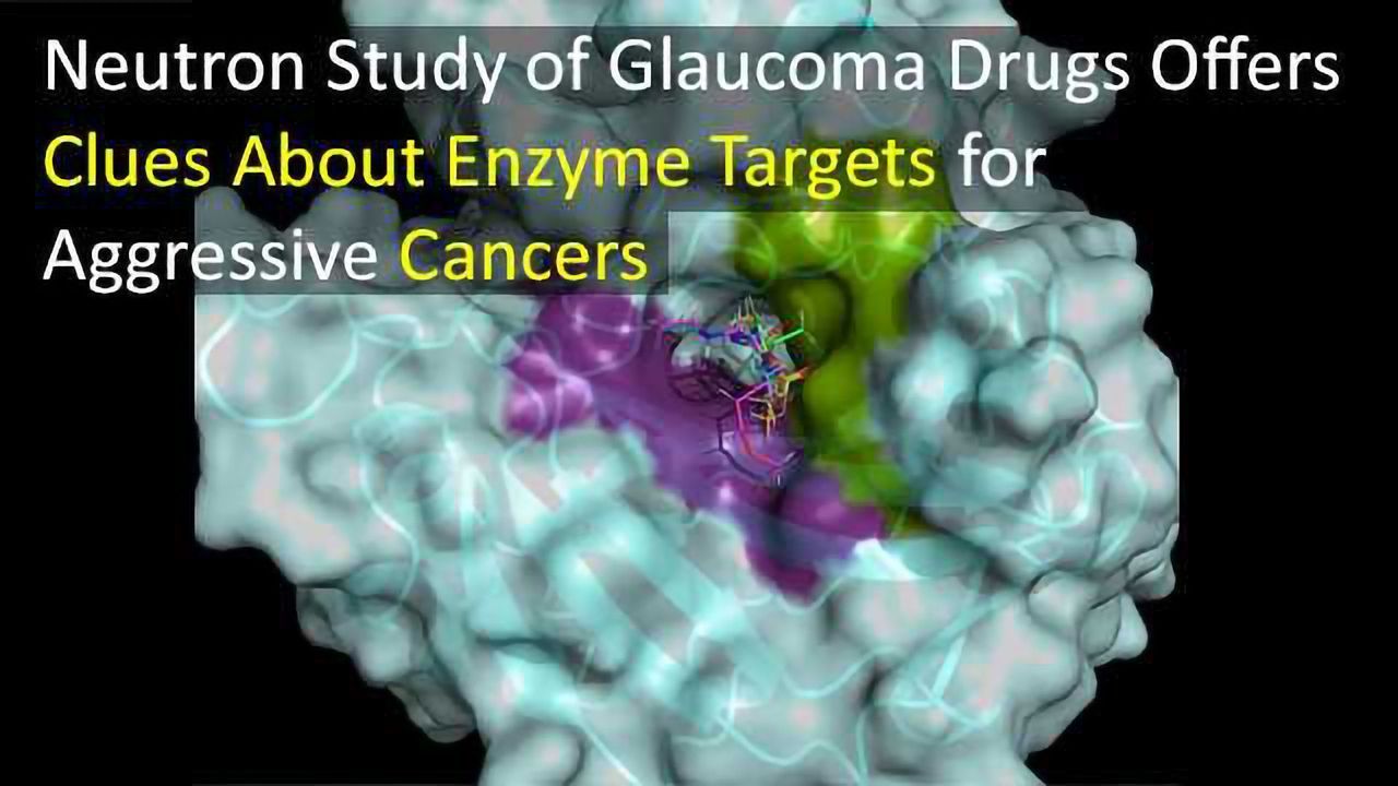 Neutron Analysis of Glaucoma Drugs Could Help Aggressive Cancer Drug Design