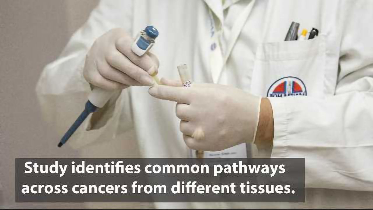 Classification Can Lead to New Ways to Diagnose Cancer