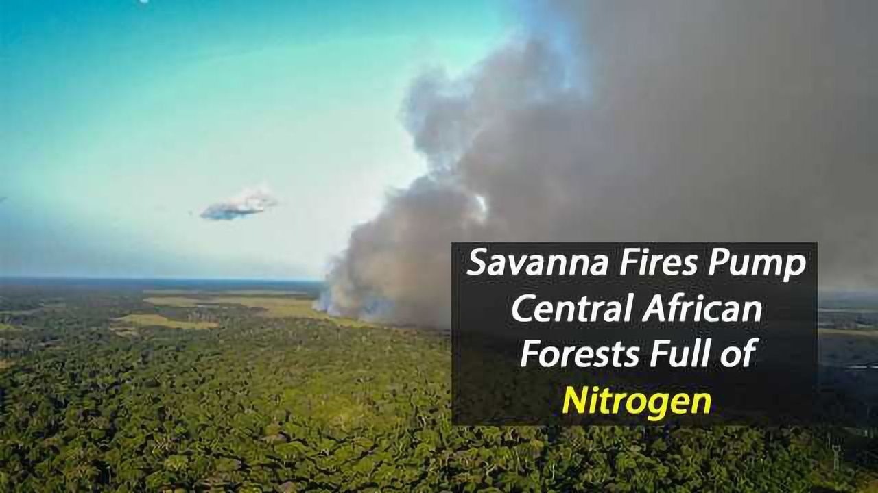 Secrets of Remote African Forests Revealed