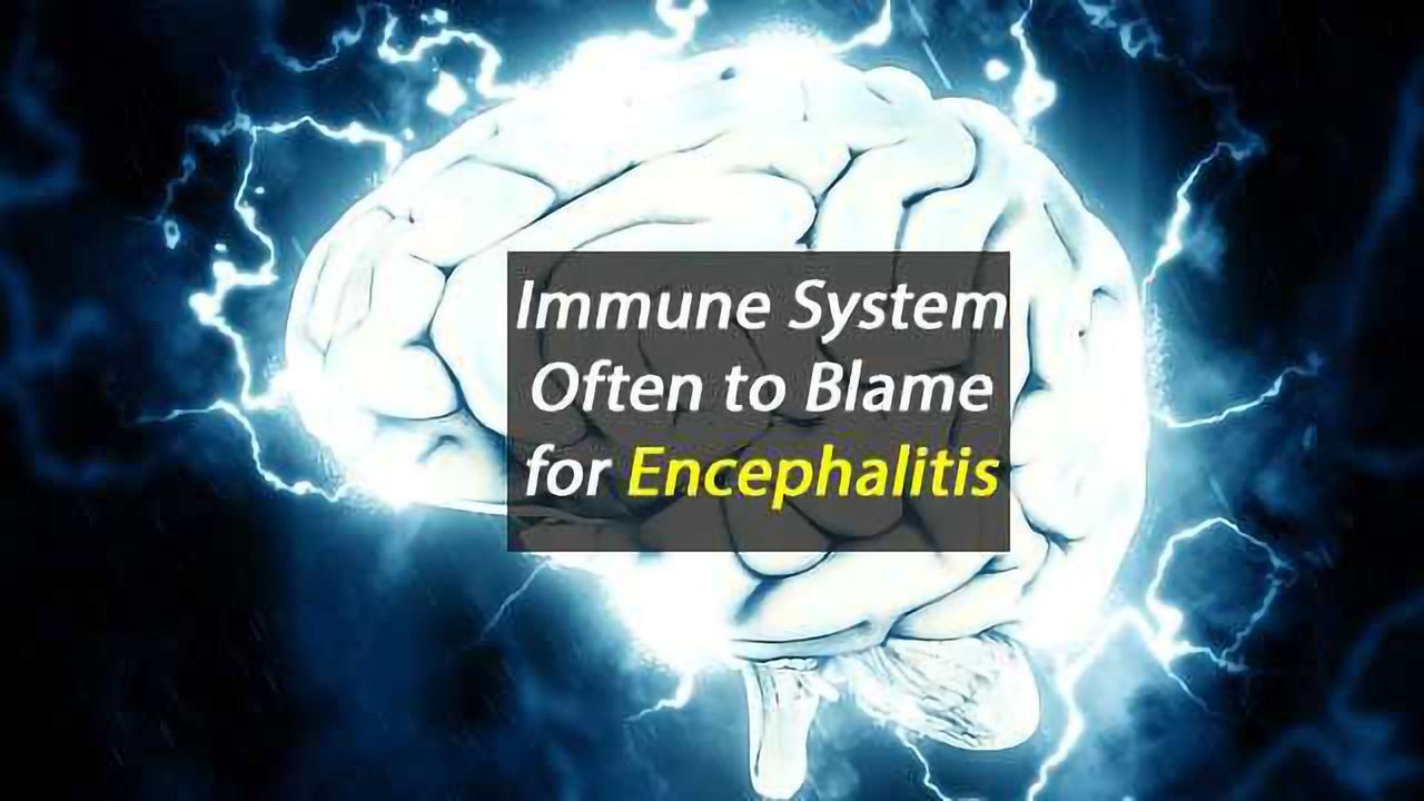 Immune System Often to Blame for Encephalitis