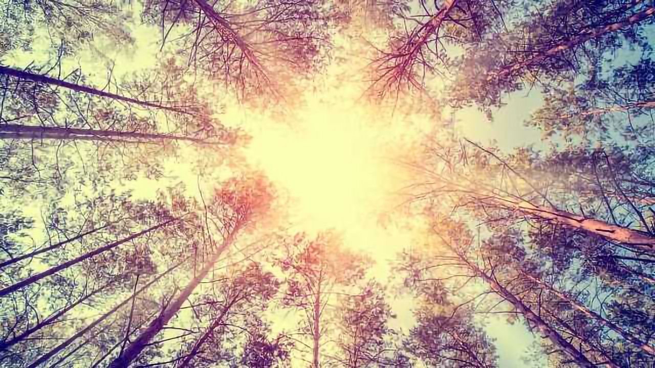 The 'Mandela Effect' and How Your Mind is Playing Tricks on you