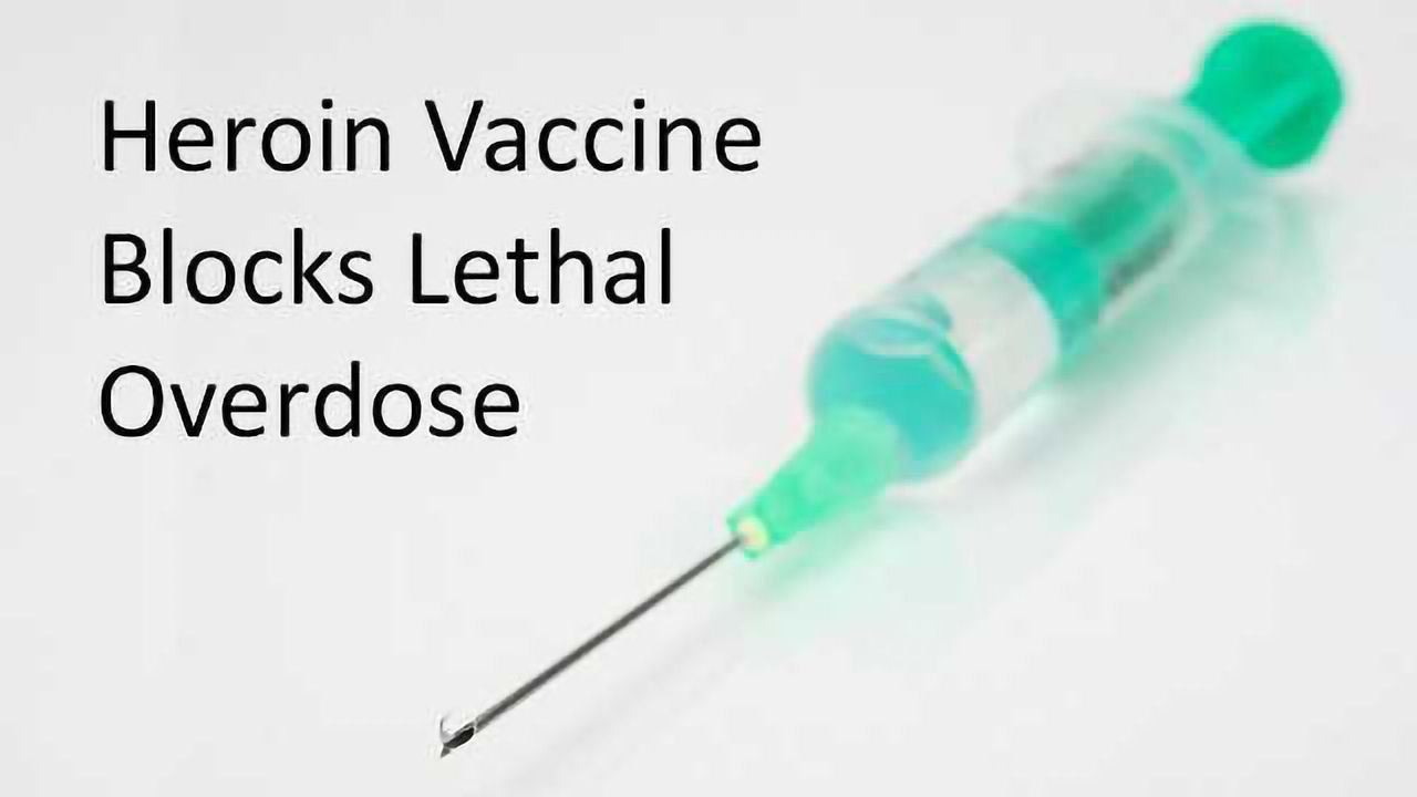 Heroin Vaccine Blocks Lethal Overdose