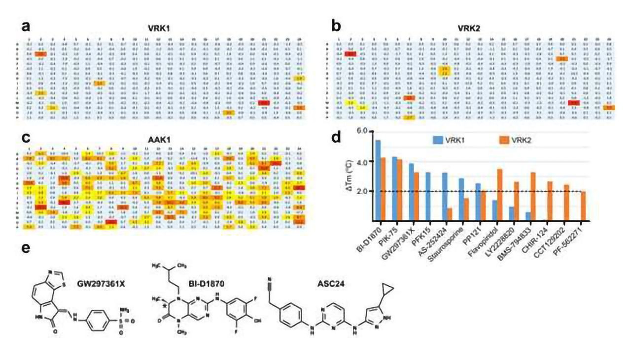 Gaining a Deeper Understanding of Protein Kinases Involved in Cancer