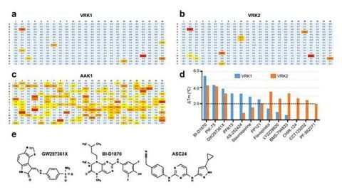 Gaining a Deeper Understanding of Protein Kinases Involved in Cancer