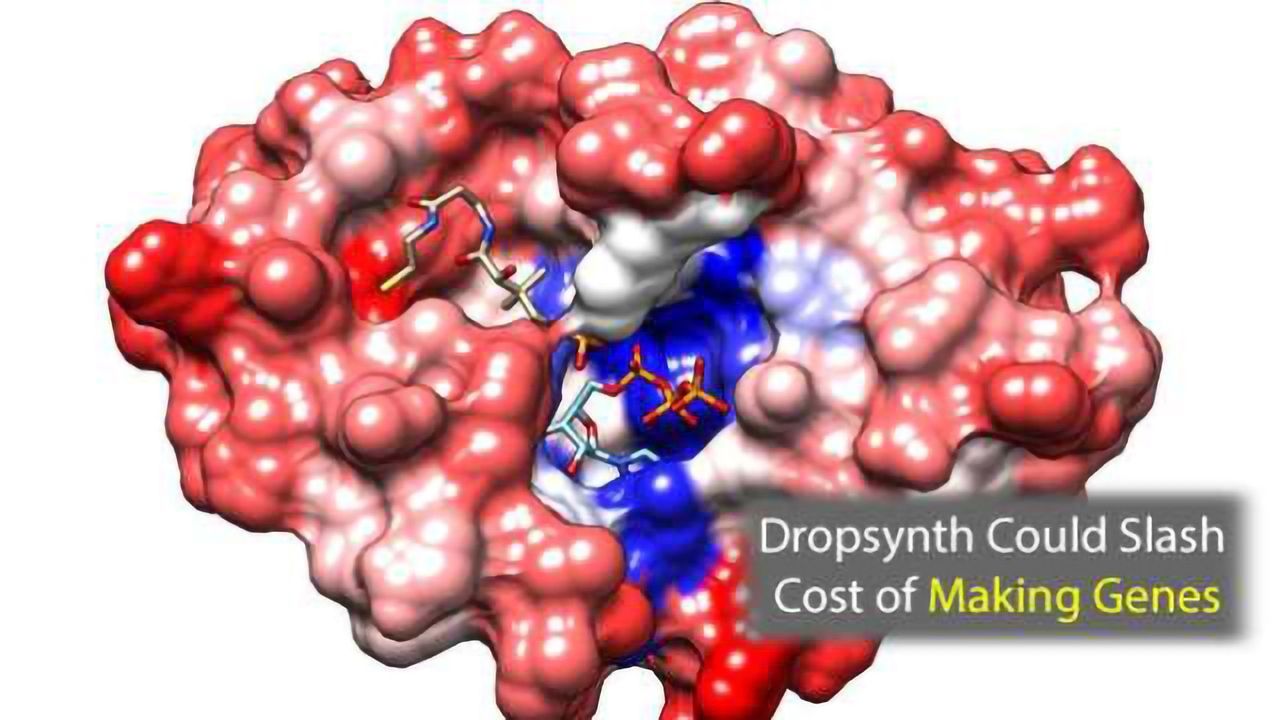 Dropsynth Technique Slashes Cost of Gene Generation