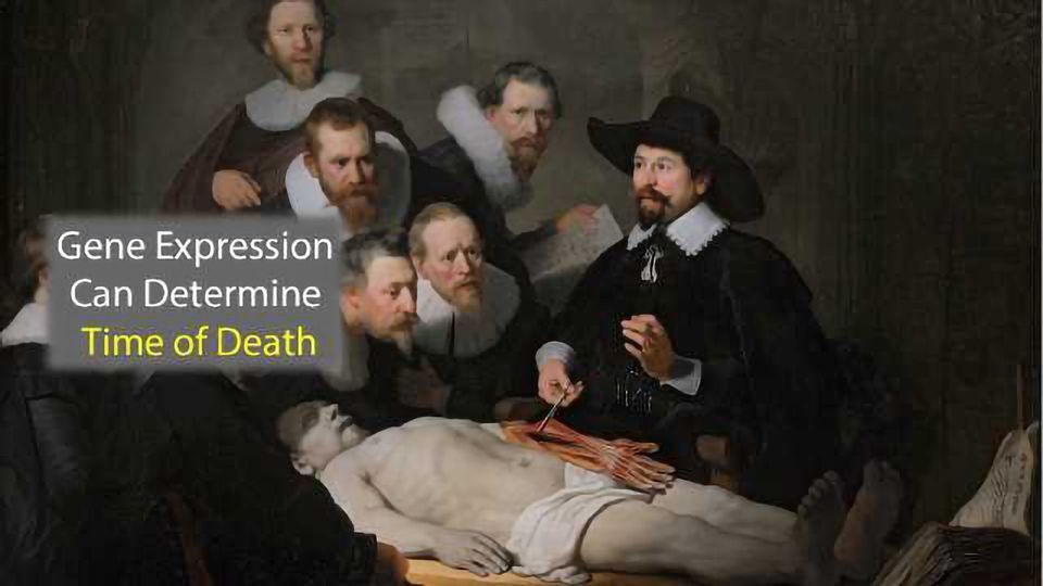 Gene Expression Patterns Can Determine Time of Death Technology Networks