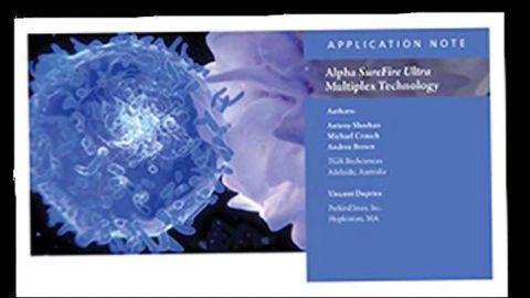 Fast, Easy Dual Phosphoprotein Target Analysis