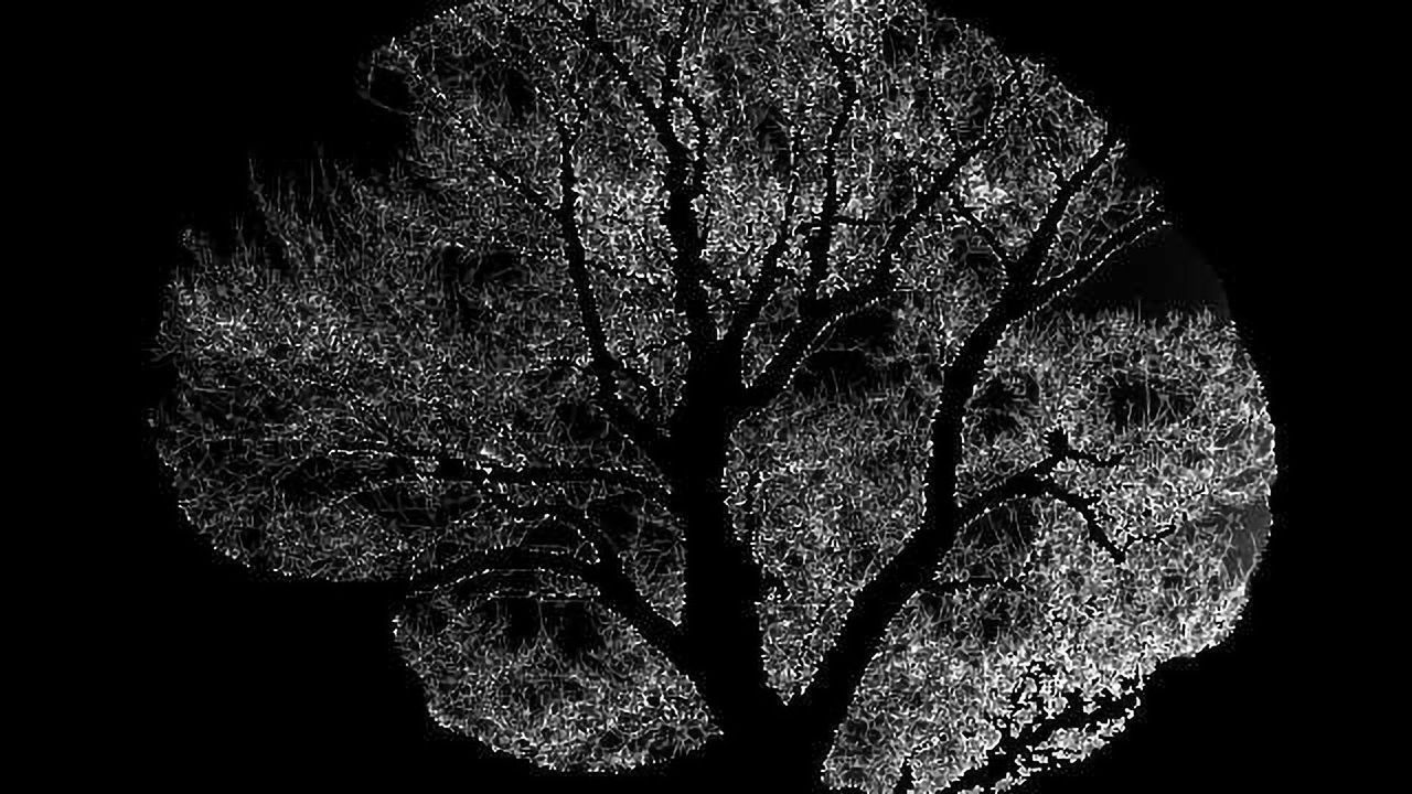 Tiny Brain Region Responsible for Strengthening Important Memories Under Stress