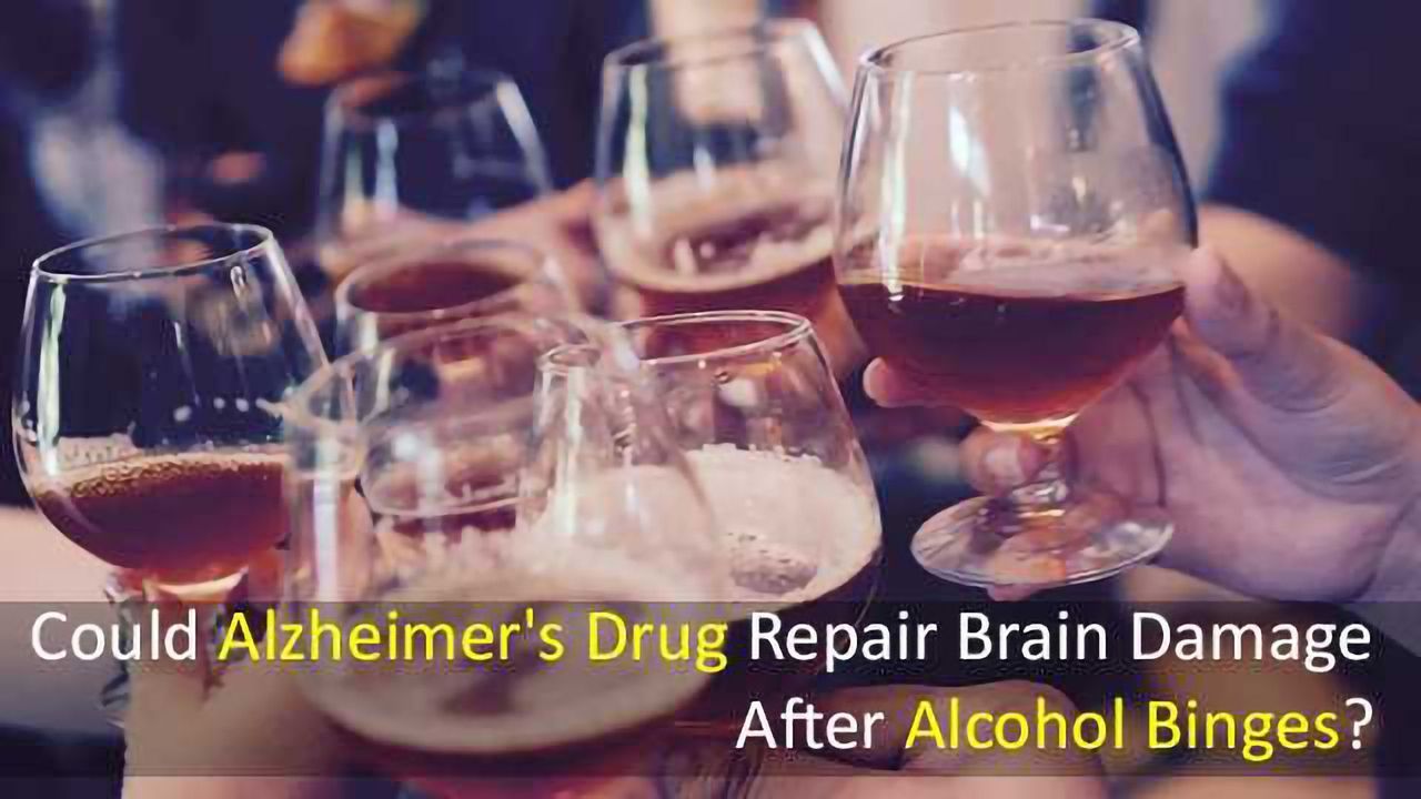 Could Alzheimer's Drug Repair Brain Damage After Alcohol Binges?