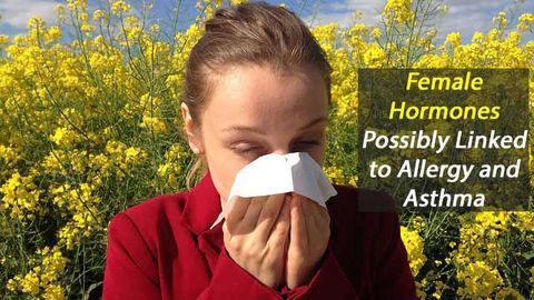 Allergies and Asthma Possibly Linked to Female Hormones