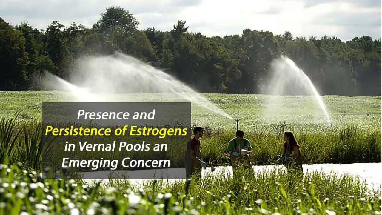 Aquatic Habitats Threatened by Estrogens in Treated Wastewater