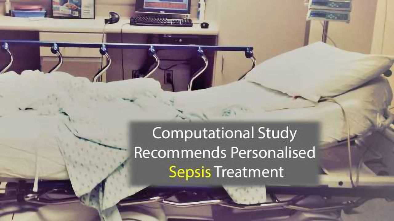 Computational Model Underlines Need for Personalised Approach to Sepsis