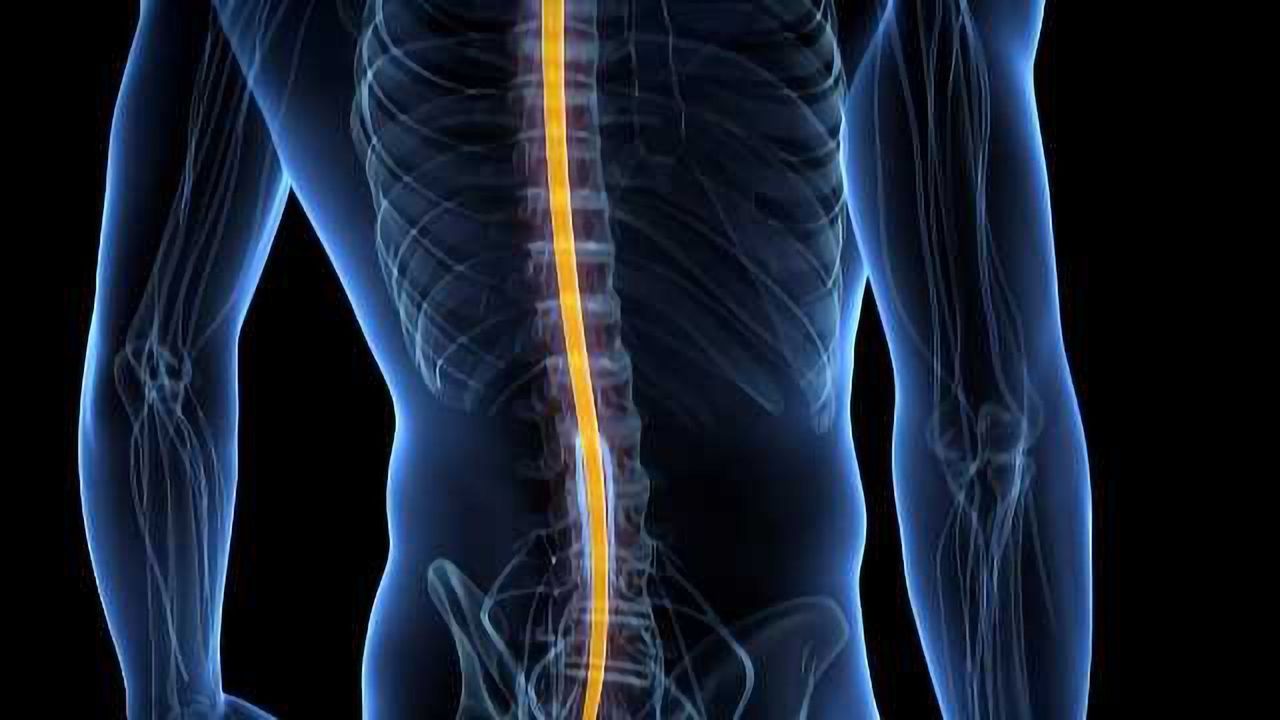 Electrical Implant Reduces "Invisible" Symptoms of Man's Spinal Cord Injury- Study