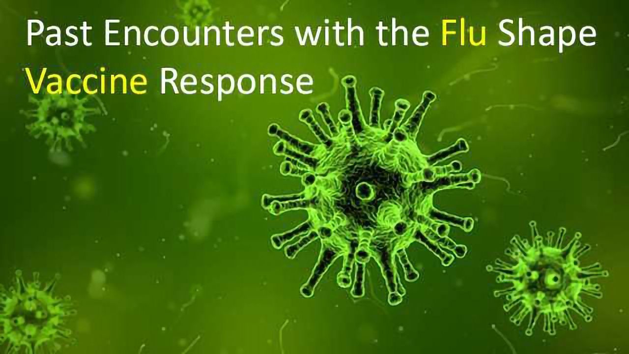 Immune History Influences Flu Vaccine Effectiveness
