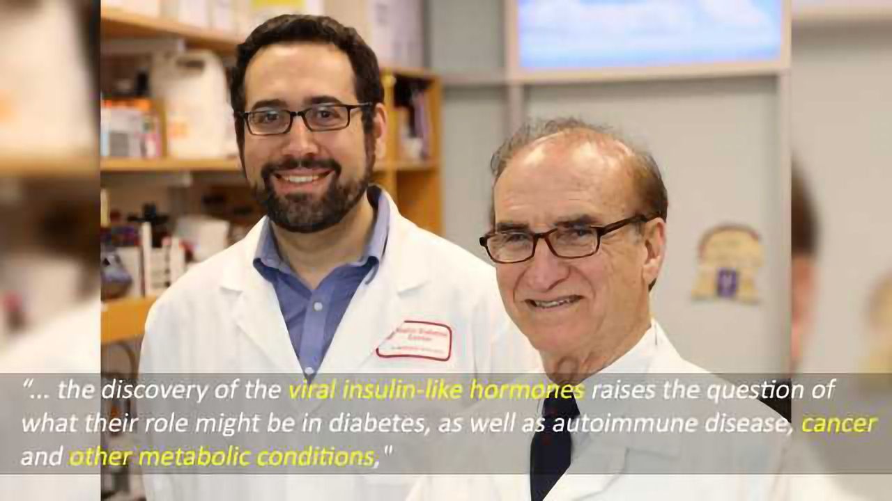 Insulin Goes Viral: Diabetes and Cancer-causing Mechanisms Explored