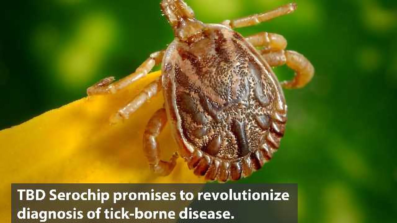 First Multiplex Test for Tick-Borne Diseases