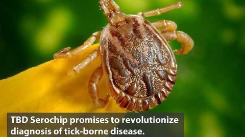 First Multiplex Test for Tick-Borne Diseases
