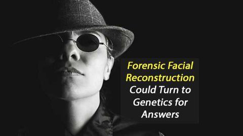 Forensic Facial Reconstruction Could Now Look to Your DNA