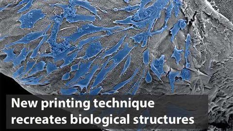 New Printing Technique Uses Cells and Molecules to Recreate Biological Structures
