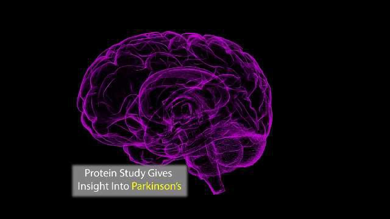 Protein Analysis Gives Insight into Parkinson's