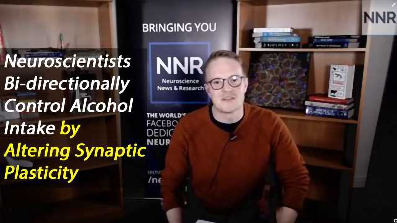 NNR Discusses the Latest Paper on the Neuroplasticity of Addiction