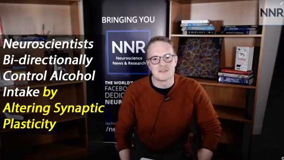 NNR Discusses the Latest Paper on the Neuroplasticity of Addiction content piece image