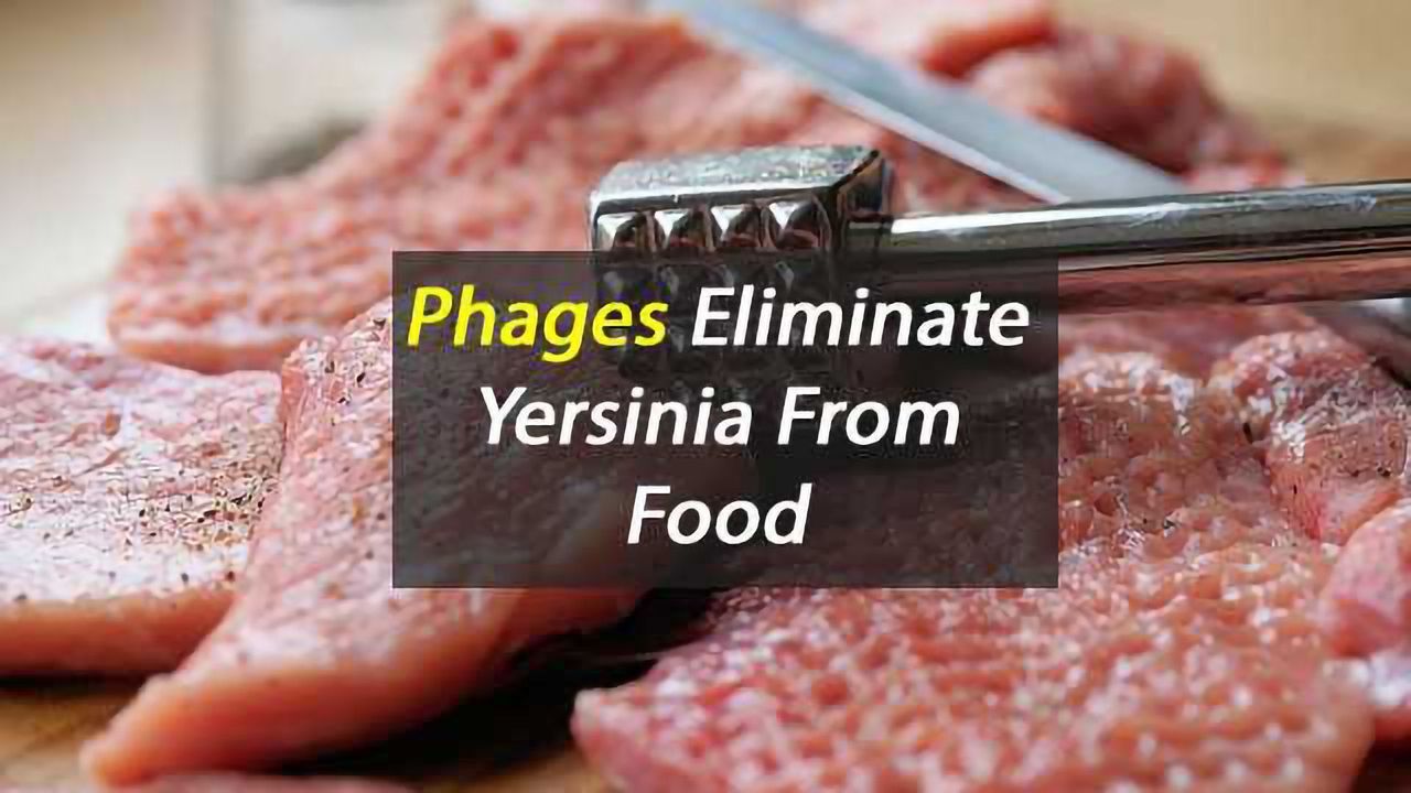 Bacteria-Eaters to Prevent Food Poisoning?