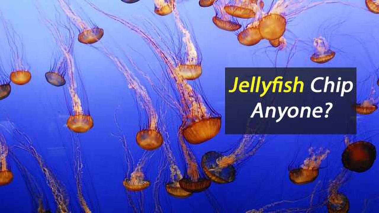 Fancy A Jellyfish Chip?