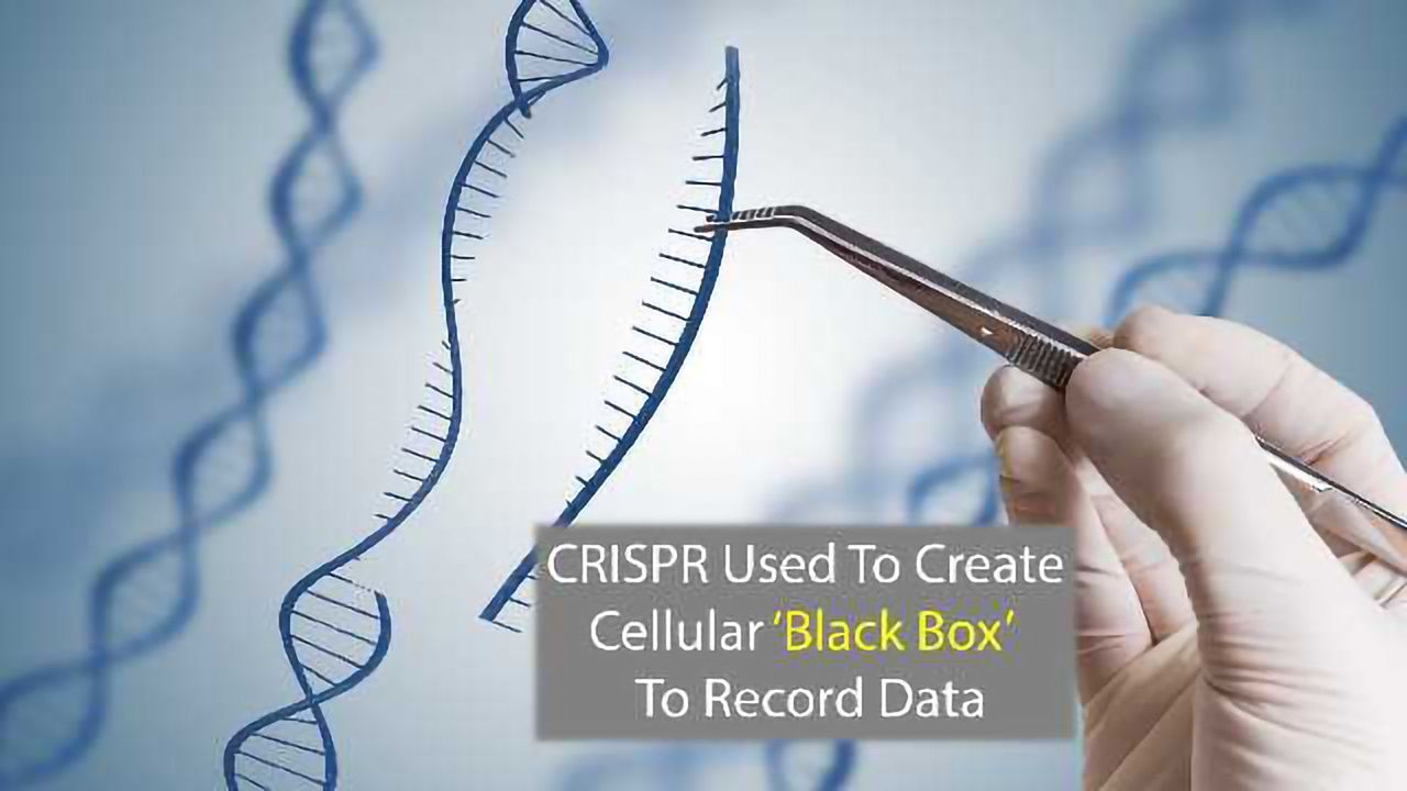 CRISPR's New CAMERA is a Cellular Data Recorder