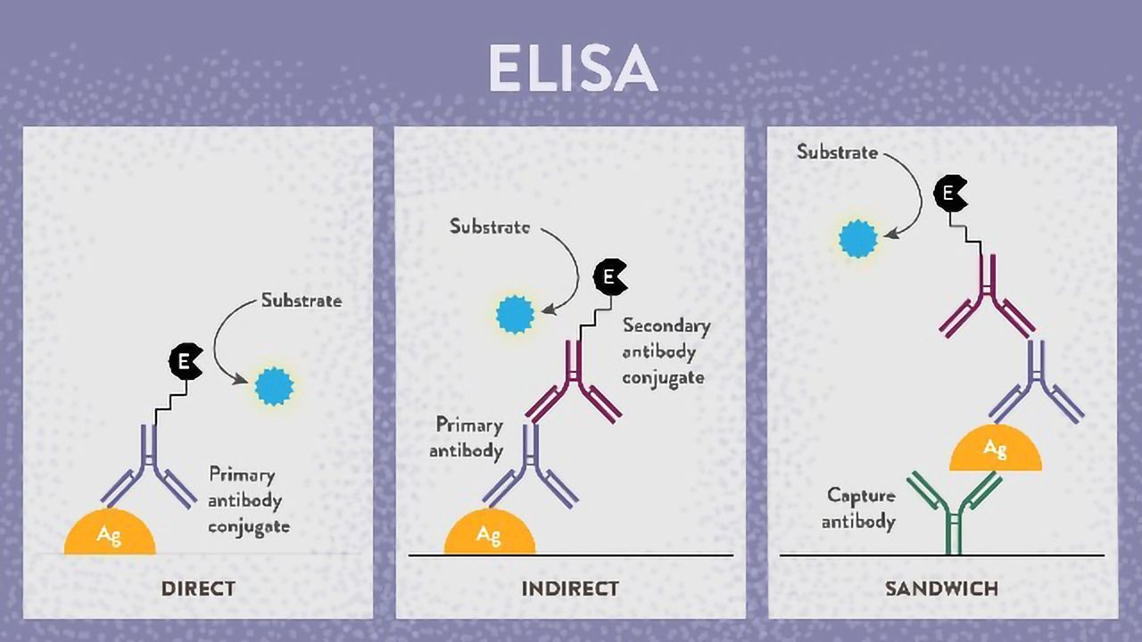 ELISA成功的8个主要技巧