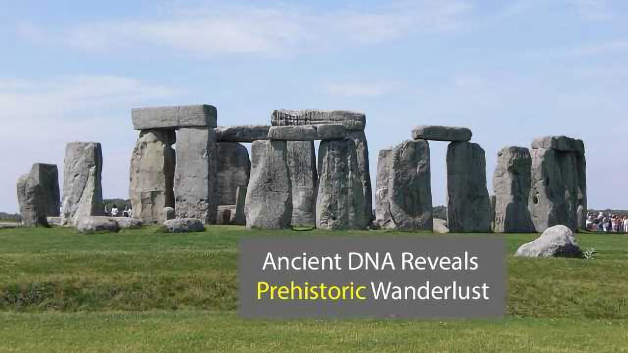 Ancient DNA Study Exposes Prehistoric Wanderlust