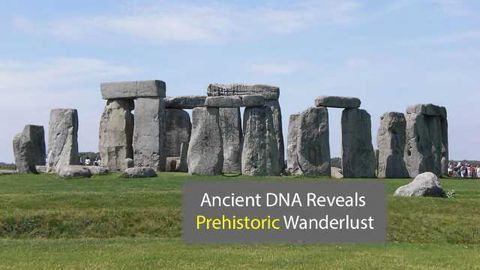 Ancient DNA Study Exposes Prehistoric Wanderlust