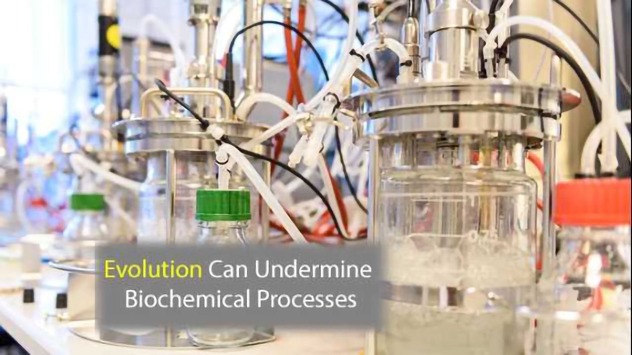Sequencing Shows How Evolution Can Undermine Bioprocess Commercialization