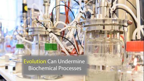 Sequencing Shows How Evolution Can Undermine Bioprocess Commercialization