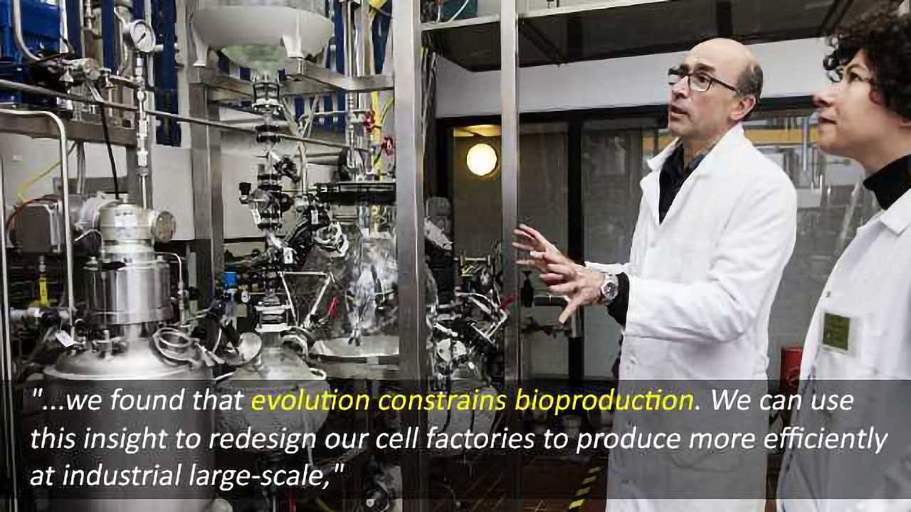 Evolution Threatens Efficient Bioproduction Scale-Up