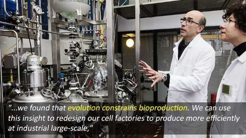 Evolution Threatens Efficient Bioproduction Scale-Up