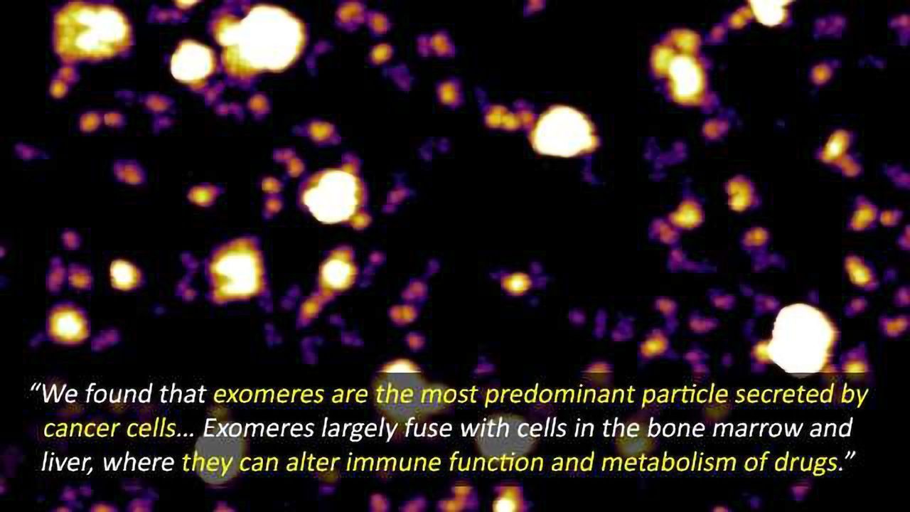 Discovery of Exomeres Could Help Reveal How Cancer Cells Spread