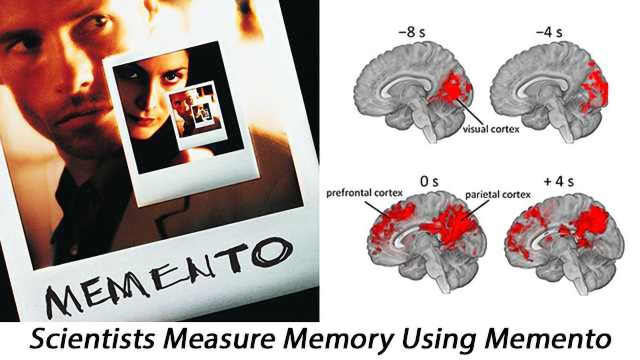 Brain Mechanisms Underlying Cue-based Memory Investigated Using Film Memento