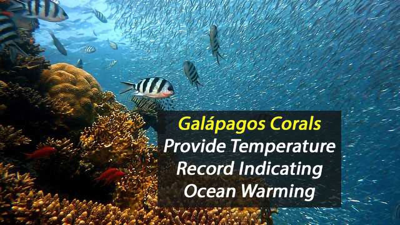 Galápagos Corals Reveal Evidence of Ocean Warming