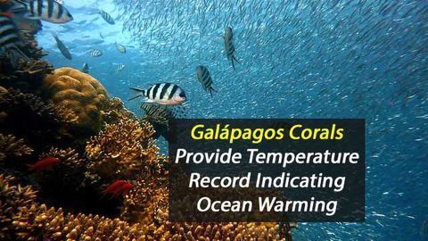 Galápagos Corals Reveal Evidence of Ocean Warming