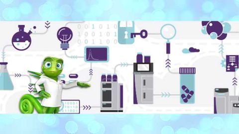 How to Address Data Integrity Challenges
