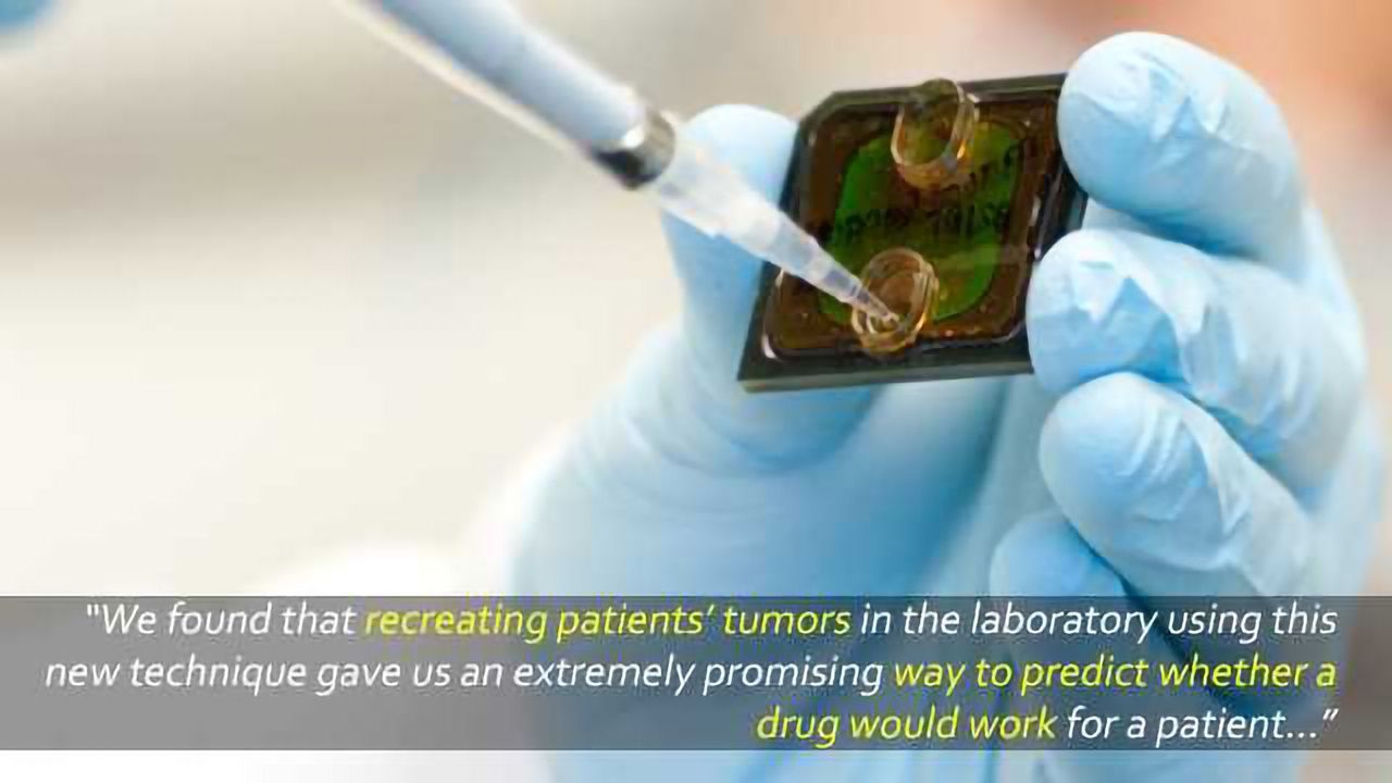 ‘Mini Tumors’ from Patient Samples Could Help Personalize Cancer Drug Treatment