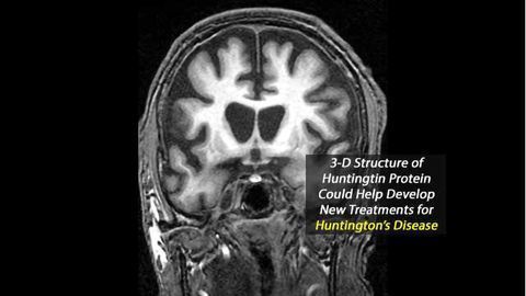 Decoding the 3-D Structure of Huntingtin