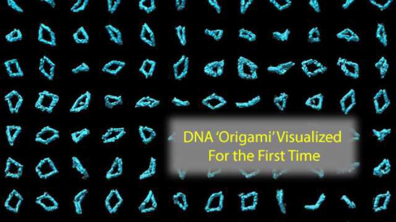 DNA 'Origami' Seen in 3-D for the First Time