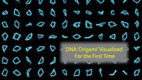 DNA 'Origami' Seen in 3-D for the First Time