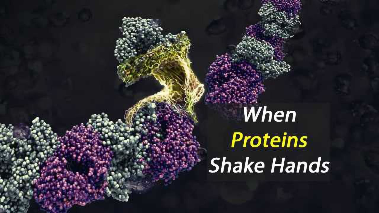 Innovative Nanomaterial Made From Natural Substances