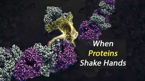 Innovative Nanomaterial Made From Natural Substances