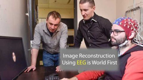 I See What You're Thinking: Successful Image Reconstruction Using EEG