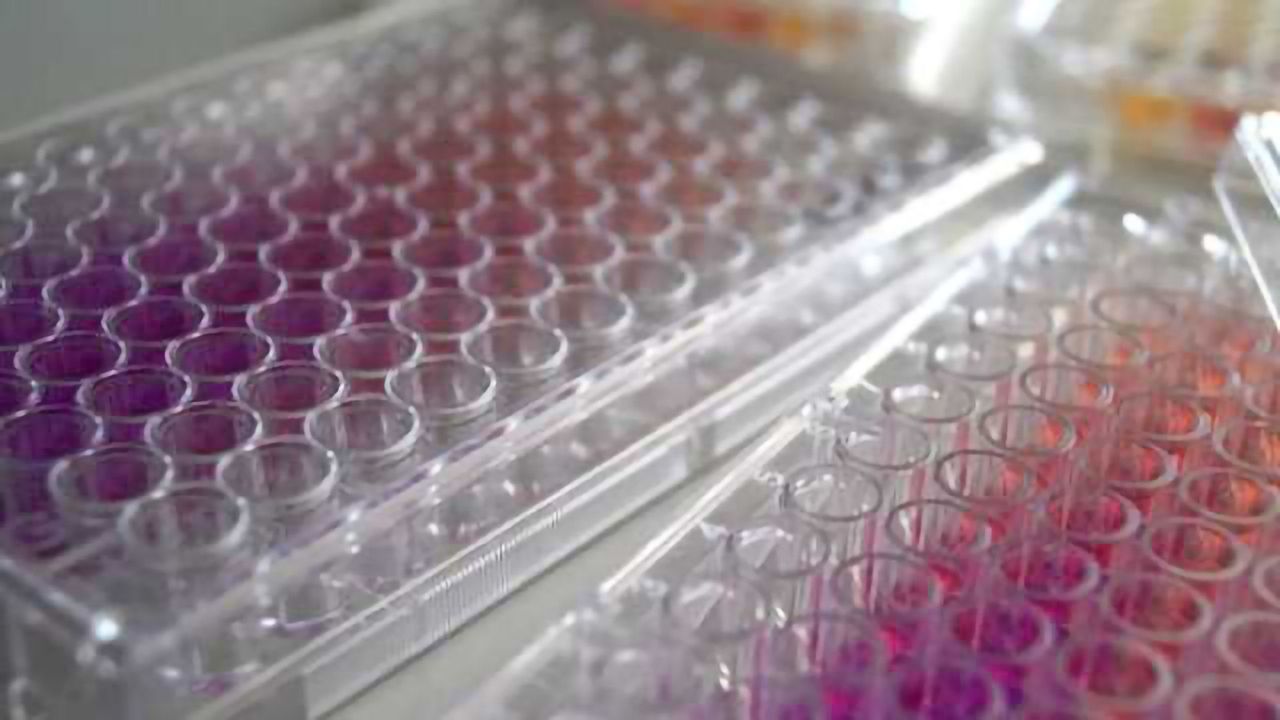 Targeted Drug Could be Used to Treat Advanced Cancers Located Anywhere in the Body