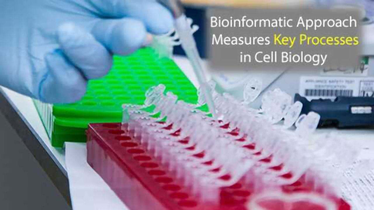 scNMT-seq Allows Analysis of Connections Between Nucleosomes, Methylation and Transcription
